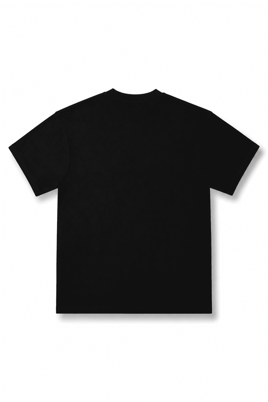 Eagle Inspo Tee