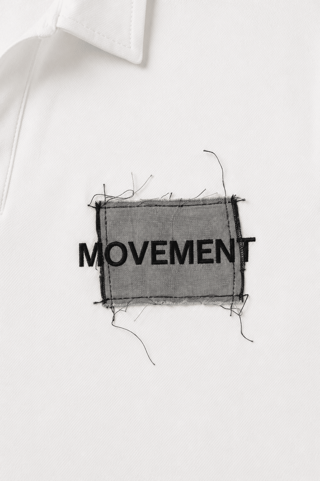 Manifesto Polo